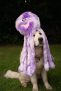 Petface Orla the Octopus Plush Dog Toy, Large